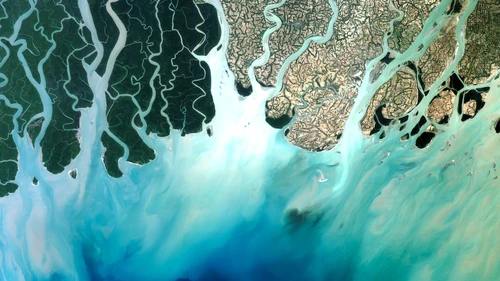 Rekaman Satelit yang Luar Biasa Menguak Perubahan Drastis di Permukaan Bumi