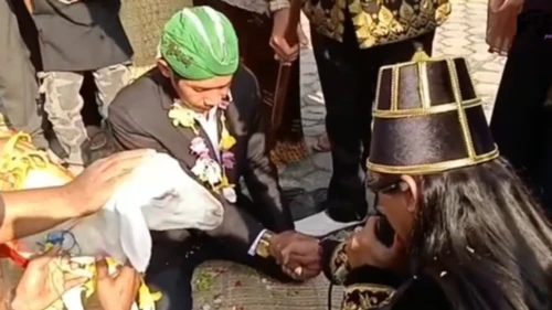 Pembuat Konten Video 'Pria Menikahi Kambing' di Gresik Jadi Tersangka Penodaan Agama